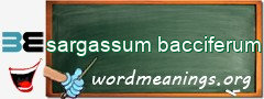 WordMeaning blackboard for sargassum bacciferum